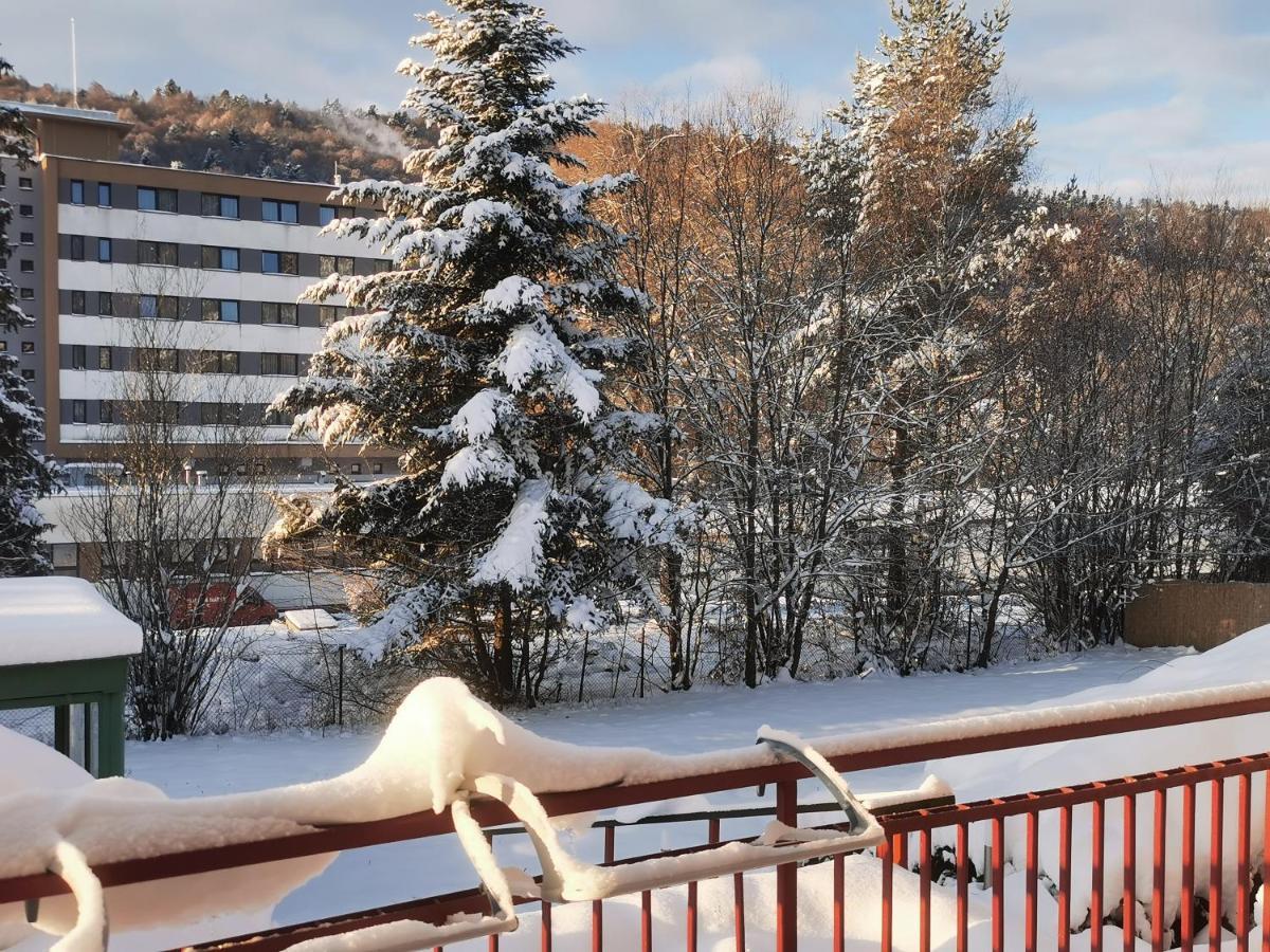 Penzion Zornicka Bardejovske Kupele Exterior photo