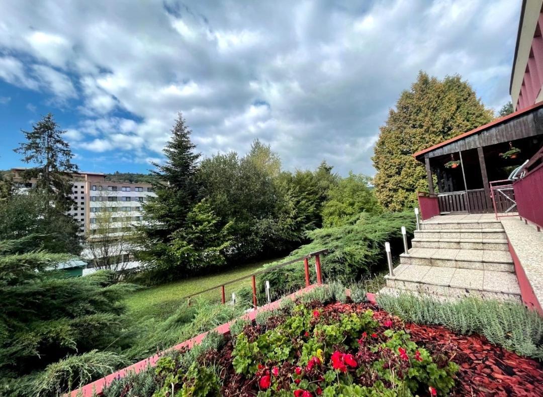 Penzion Zornicka Bardejovske Kupele Exterior photo