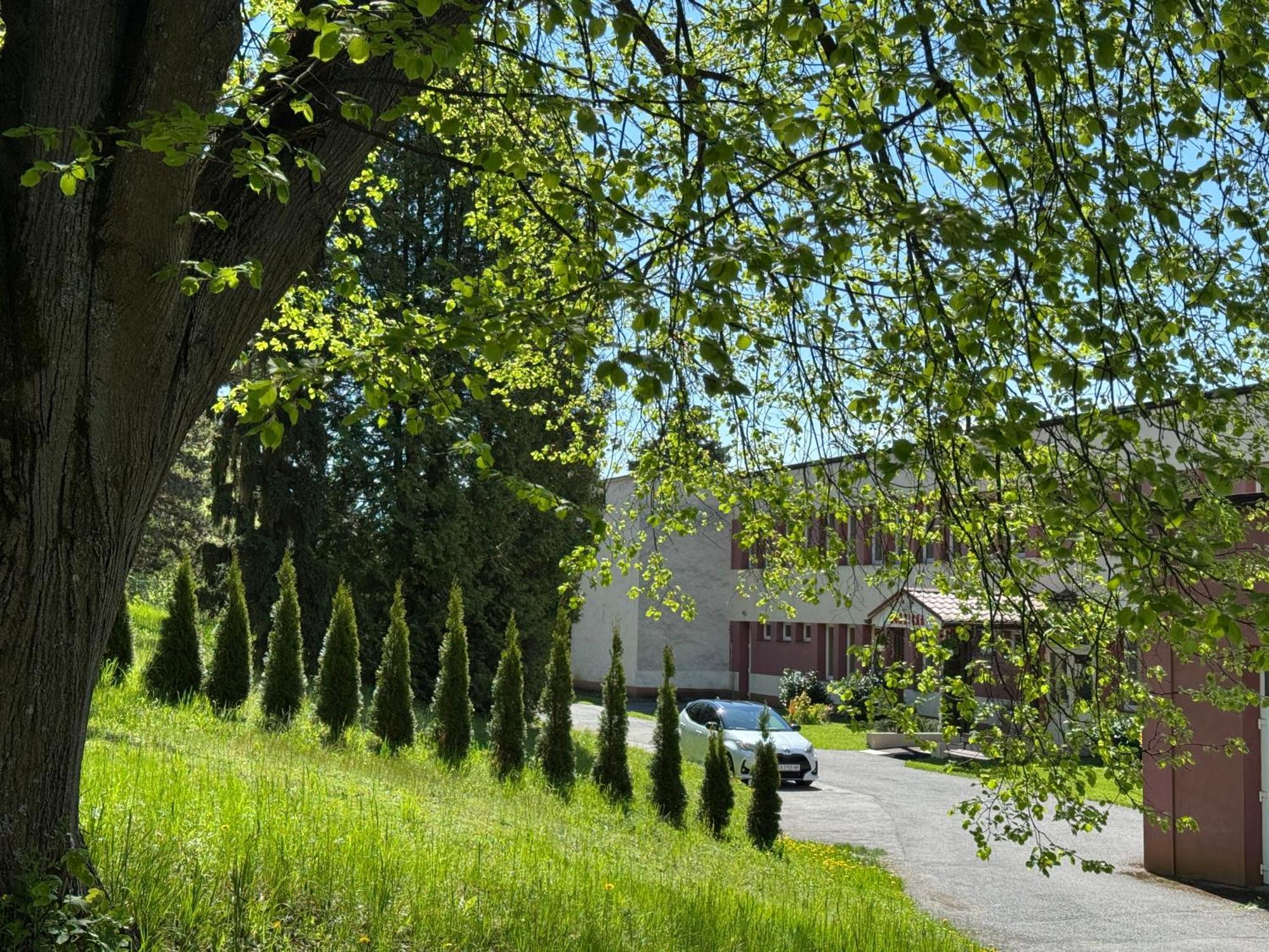 Penzion Zornicka Bardejovske Kupele Exterior photo