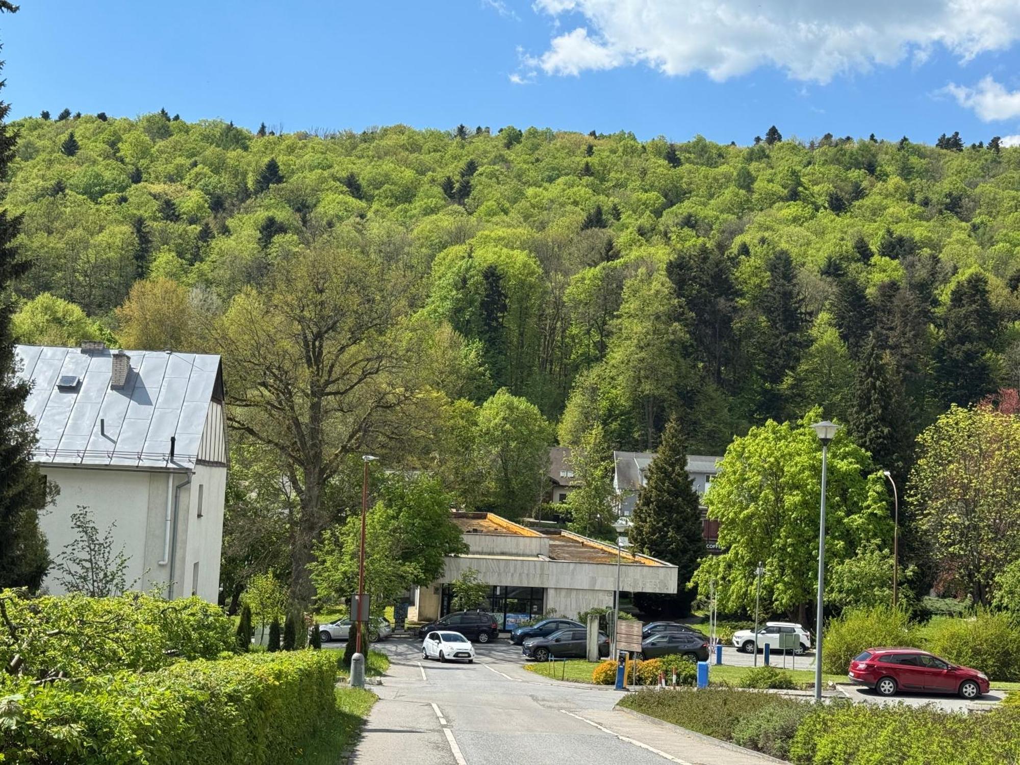 Penzion Zornicka Bardejovske Kupele Exterior photo